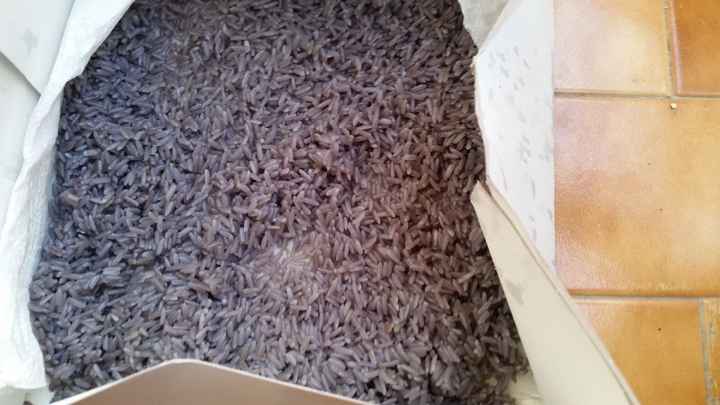 arroz