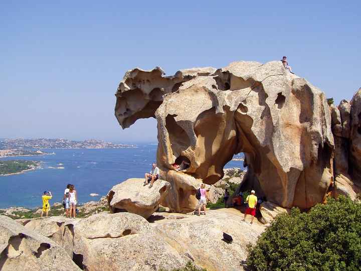 Capo d'orso