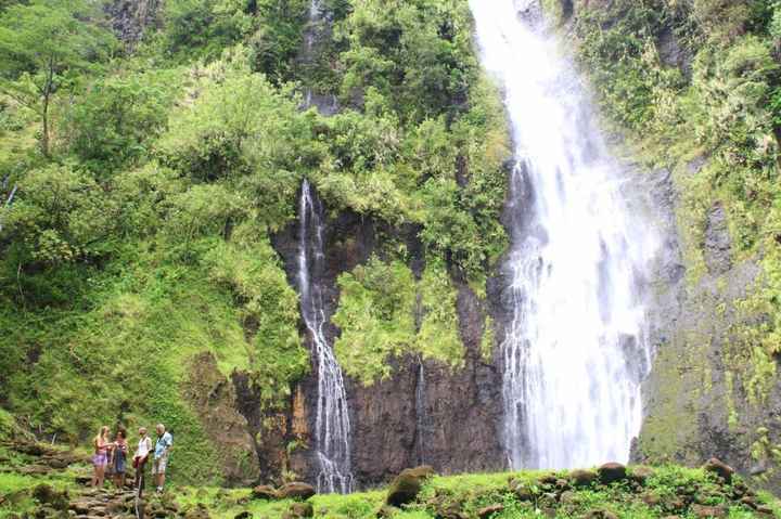 Faarumai