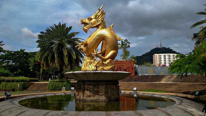 dragão