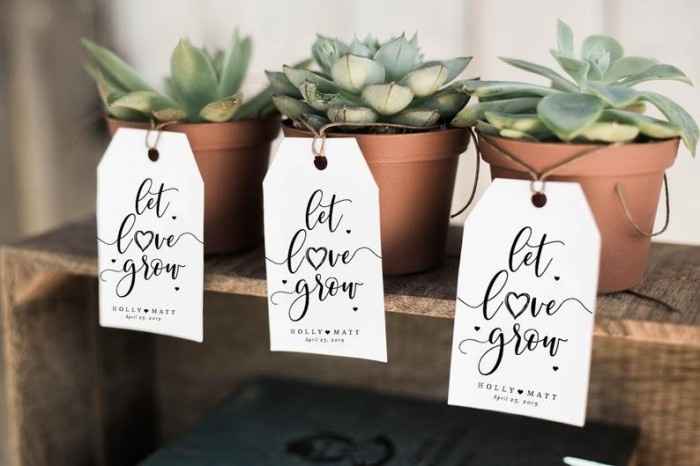 Telma: As minhas lembranças de Casamento 🎁💒💖 - 5