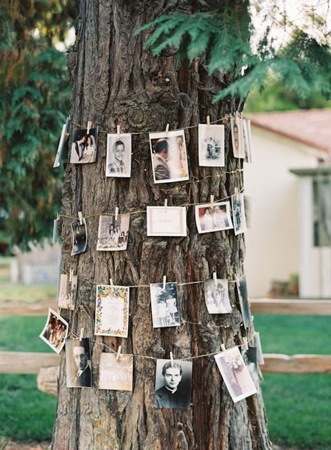 Cantinho das Fotografias/Memórias dos Noivos: 10 belas Inspirações 📸❤️ 2