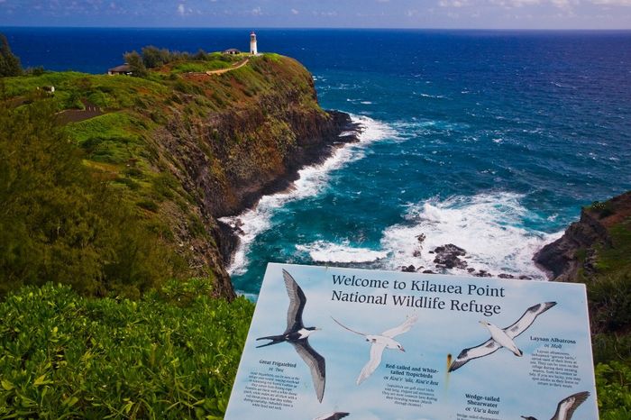 Top 20 destinos de Lua-de-mel 2020: #7 - Kauai ✈️🌍 4