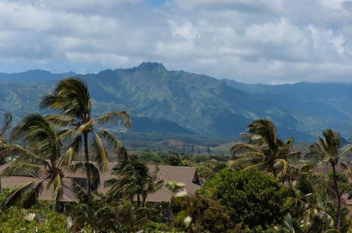 Top 20 destinos de Lua-de-mel 2020: #7 - Kauai ✈️🌍 6