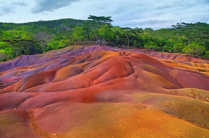 sete cores