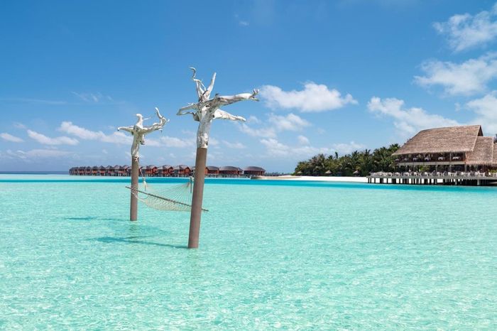 Top 20 destinos de Lua-de-mel 2020: #18 - Maldivas ✈️🌍 7