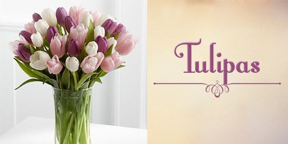 Top 10 - flores - 6