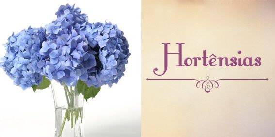 Top 10 - flores - 7