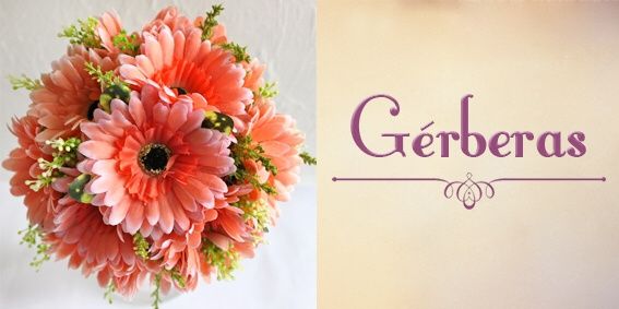 Top 10 - flores - 10