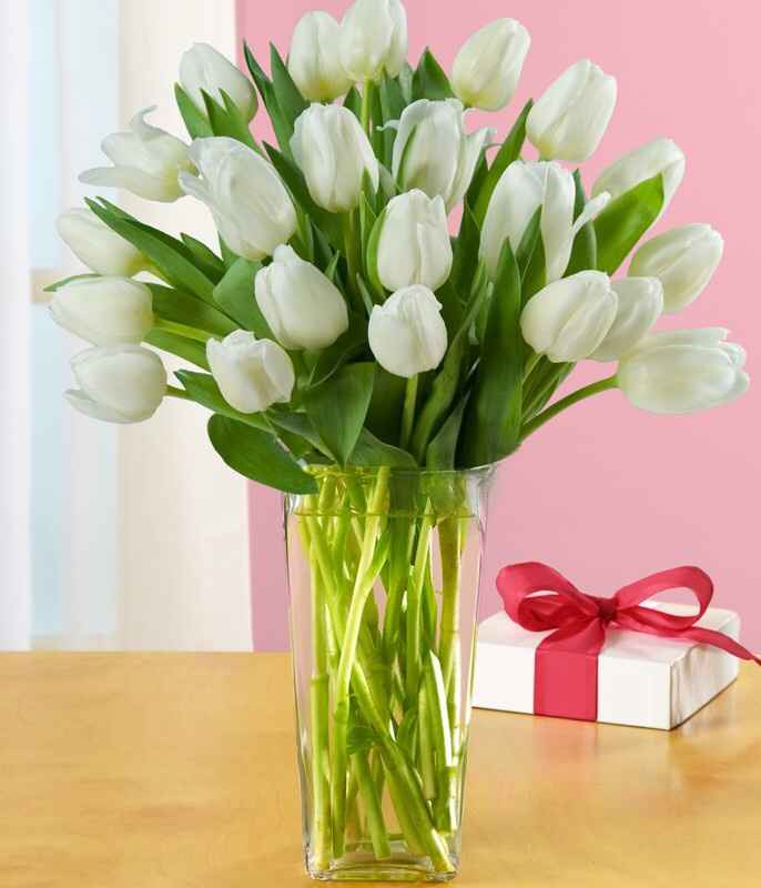 Flores - 1