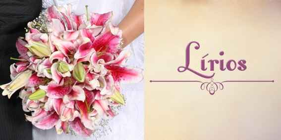 Top 10 - flores - 3
