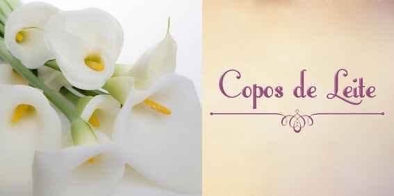 Top 10 - flores - 4
