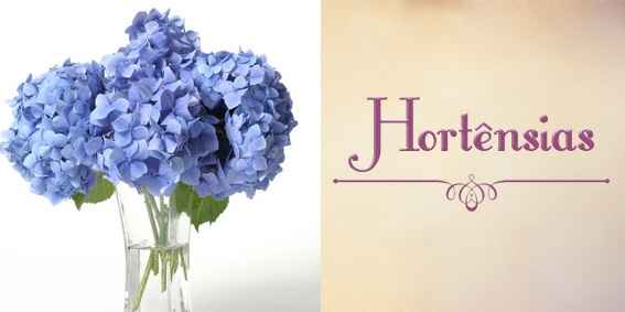 Top 10 - flores - 7