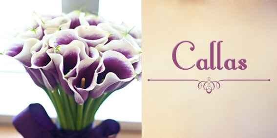 Top 10 - flores - 11