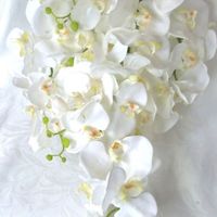 Bouquet de orquídeas