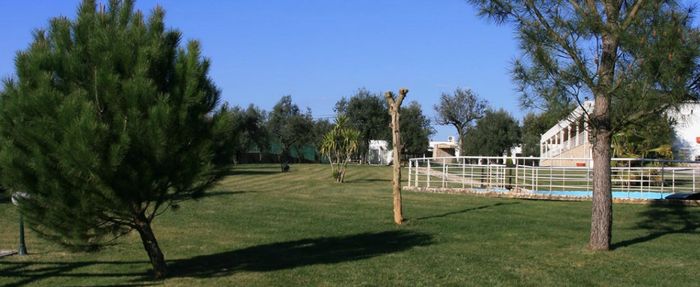 Quinta