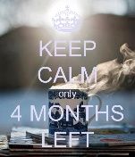 4 meses
