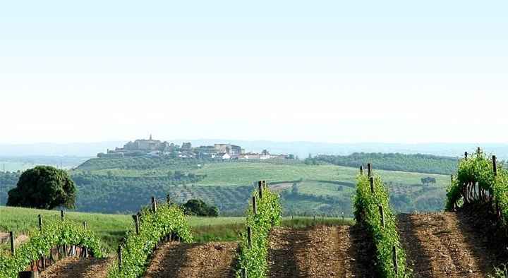 elvas
