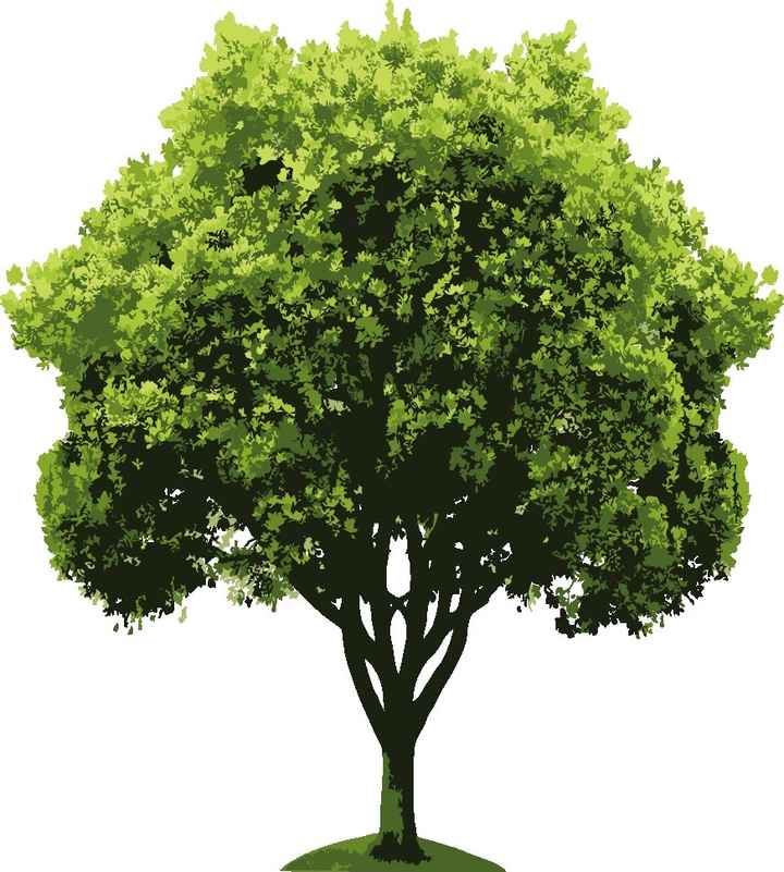 arvore2