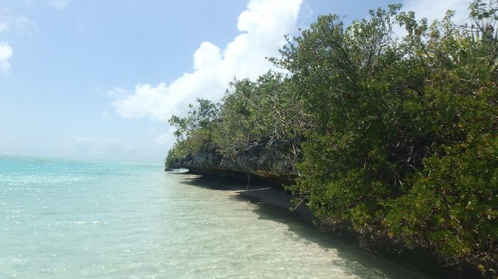Uma das ilhas - transparência água