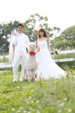 Não sabe quem convidar para ser a testemunha do casamento? 