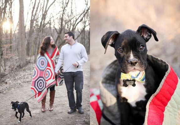 2) 8 cachorrinhos-testemunhas de pedidos de casamento românticos