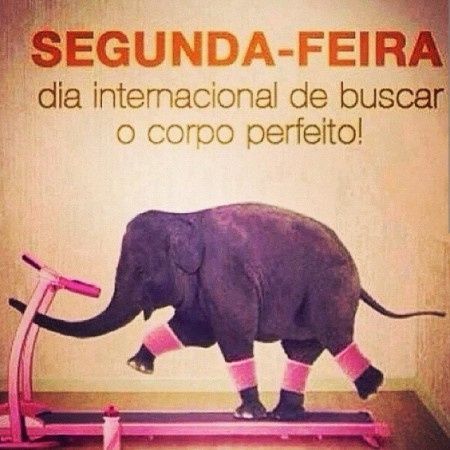 Hoje é dia! 