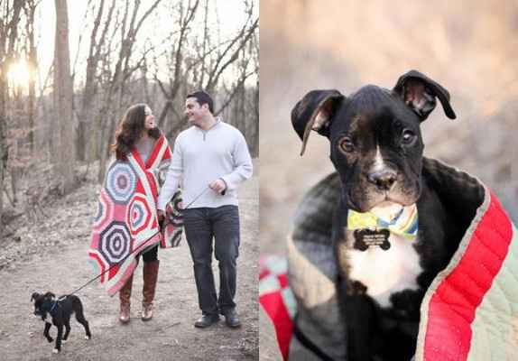 2) 8 cachorrinhos-testemunhas de pedidos de casamento românticos