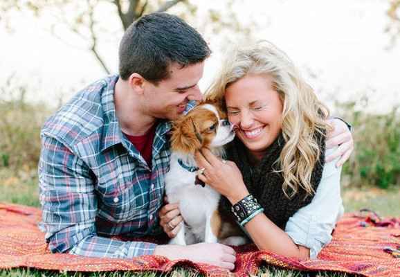 4) 8 cachorrinhos-testemunhas de pedidos de casamento românticos