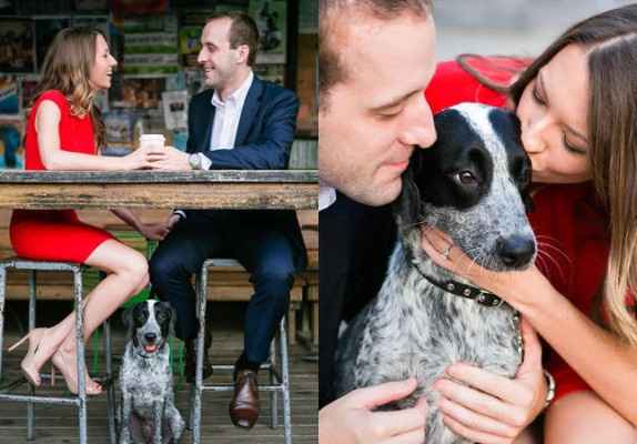 8) 8 cachorrinhos-testemunhas de pedidos de casamento românticos