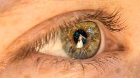 7) Fotos no reflexo dos olhos
