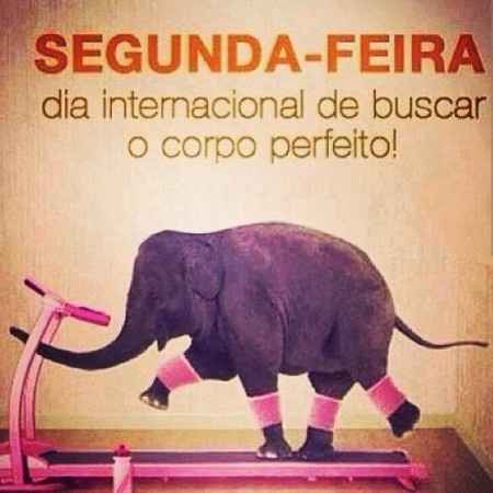 Hoje é dia! 