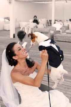 casamento com animais
