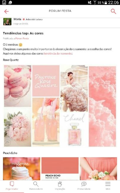 As minhas tendências de casamento - sonia - 5