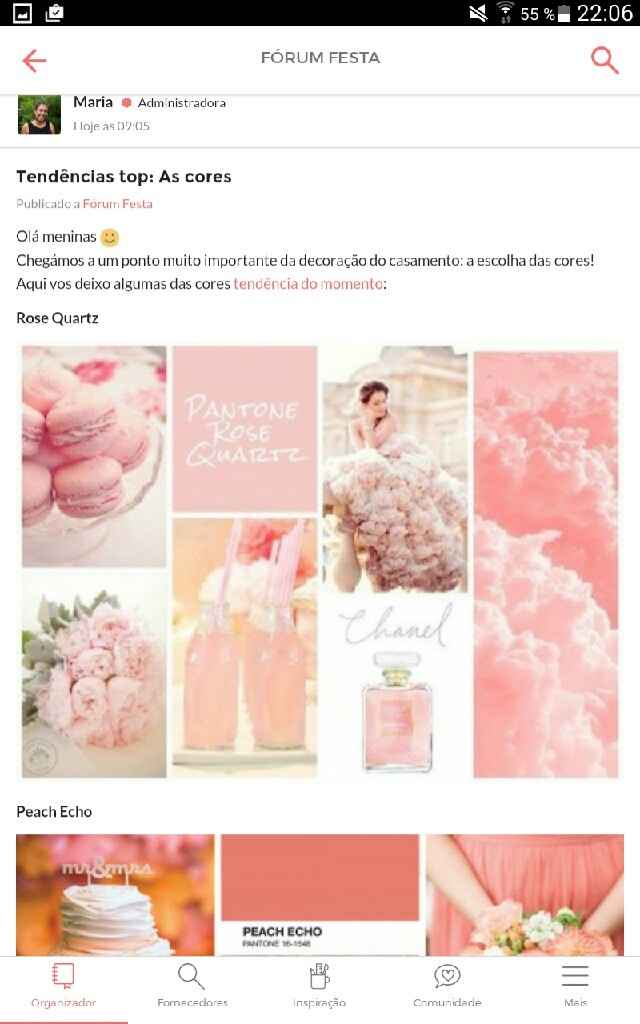 As minhas tendências de casamento - sonia - 5