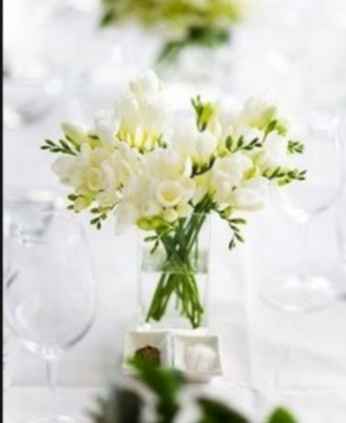 15 Maio 2021 - Faltam 60 dias!!! - 15