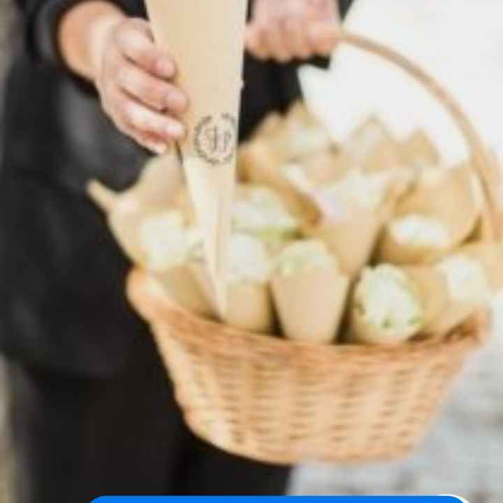 O arroz: em cones ou cestas? - 1