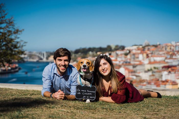 Sessão solteiros 2 - com o cão - 5