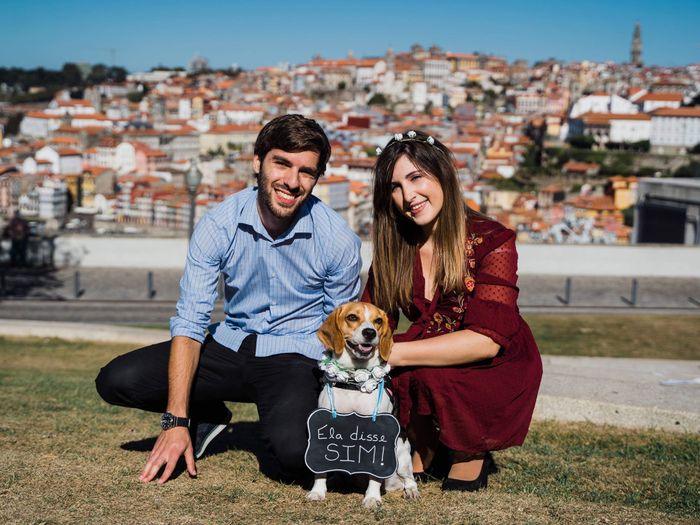 Sessão solteiros 2 - com o cão - 7