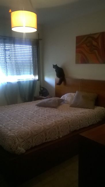 Quarto de hóspedes