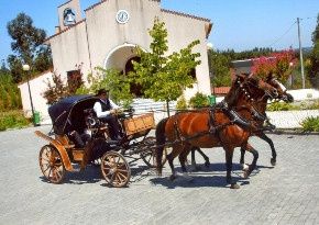 Transporte 8