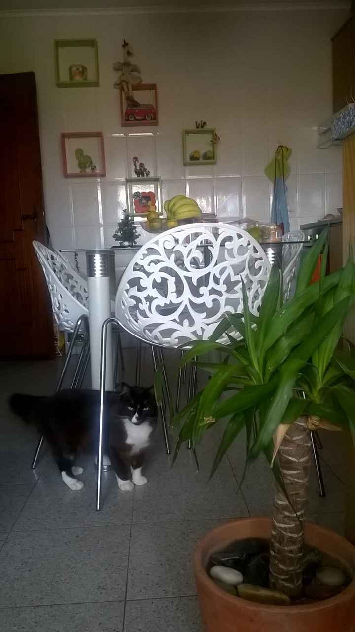 Cozinha