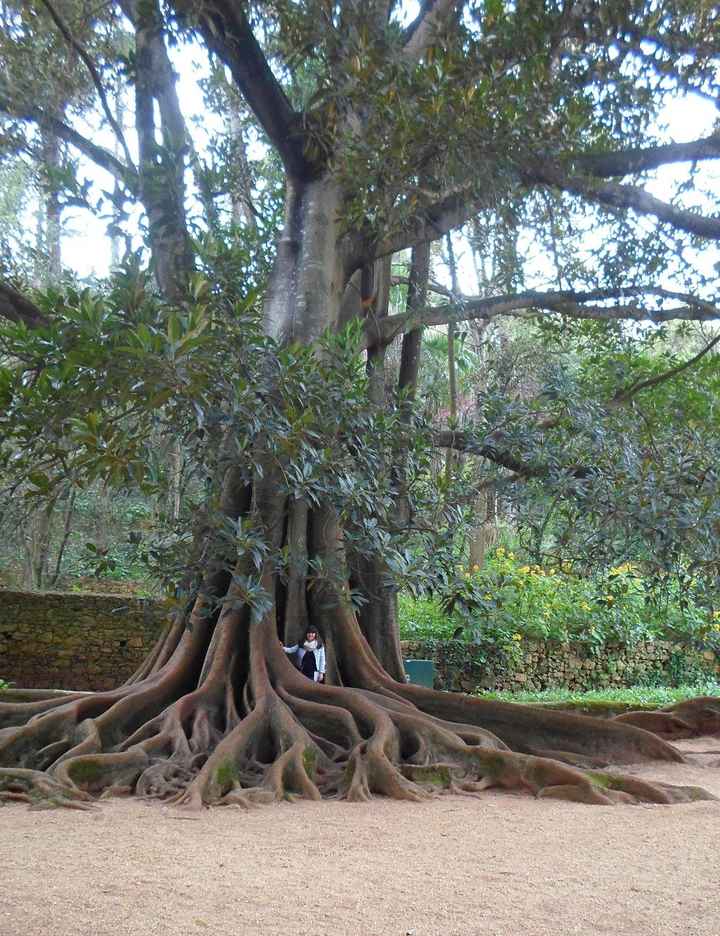 Quinta das Lágrimas