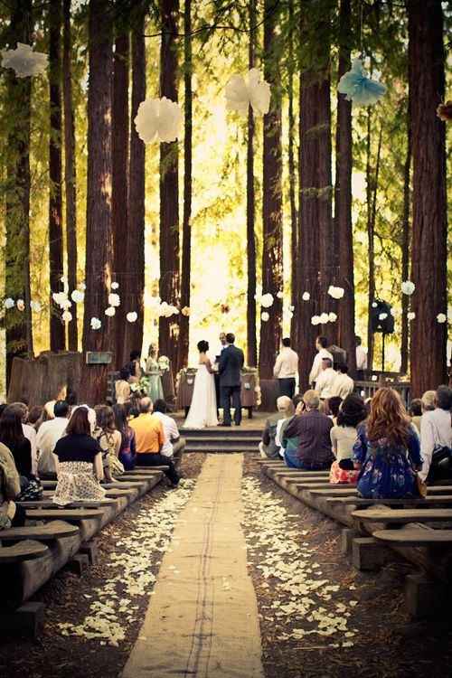Floresta