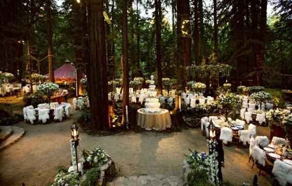 Floresta