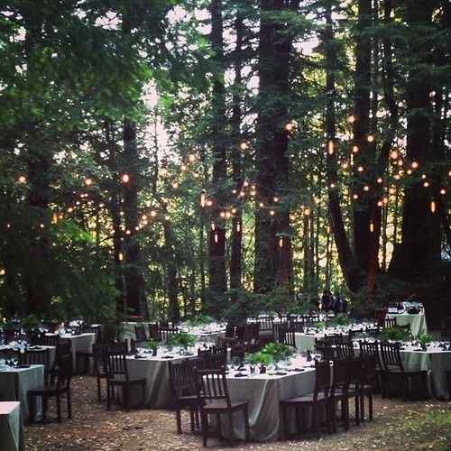 Floresta