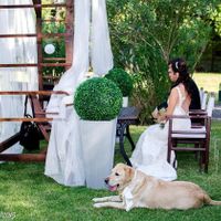 Ellie Casamento 1