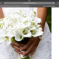 O meu bouquet