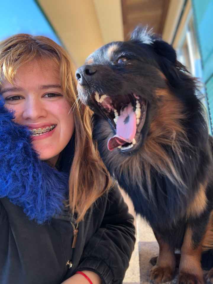 Têm uma mascota? 🐕 - 1