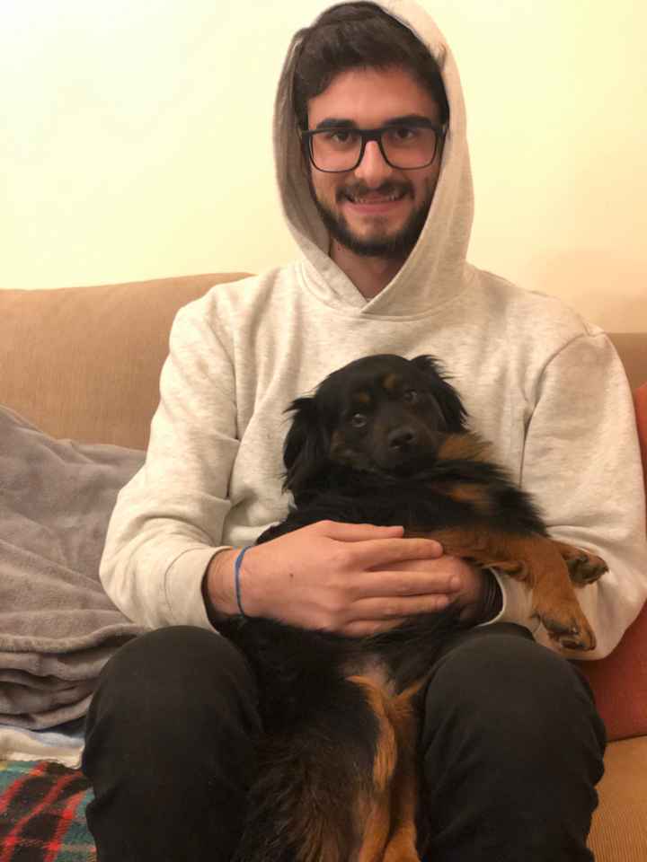 Têm uma mascota? 🐕 - 2